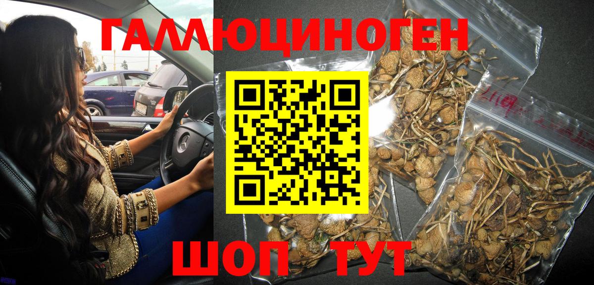 Галлюциногенные грибы Magic Shrooms  Вход с VPN  Приморско-Ахтарск  Галлюциногенные грибы Magic Shrooms 